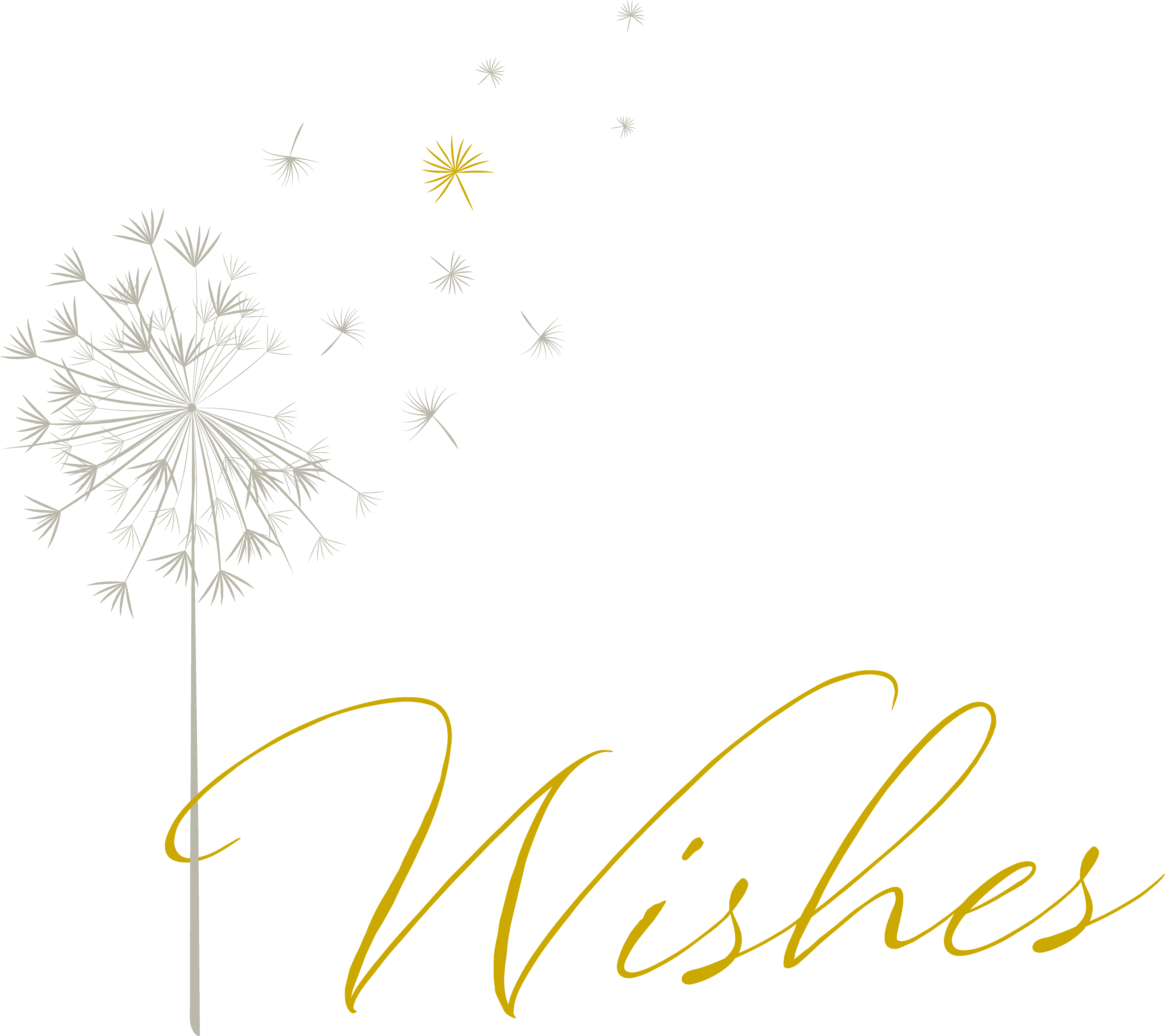 Wills & Wishes Legal Limited