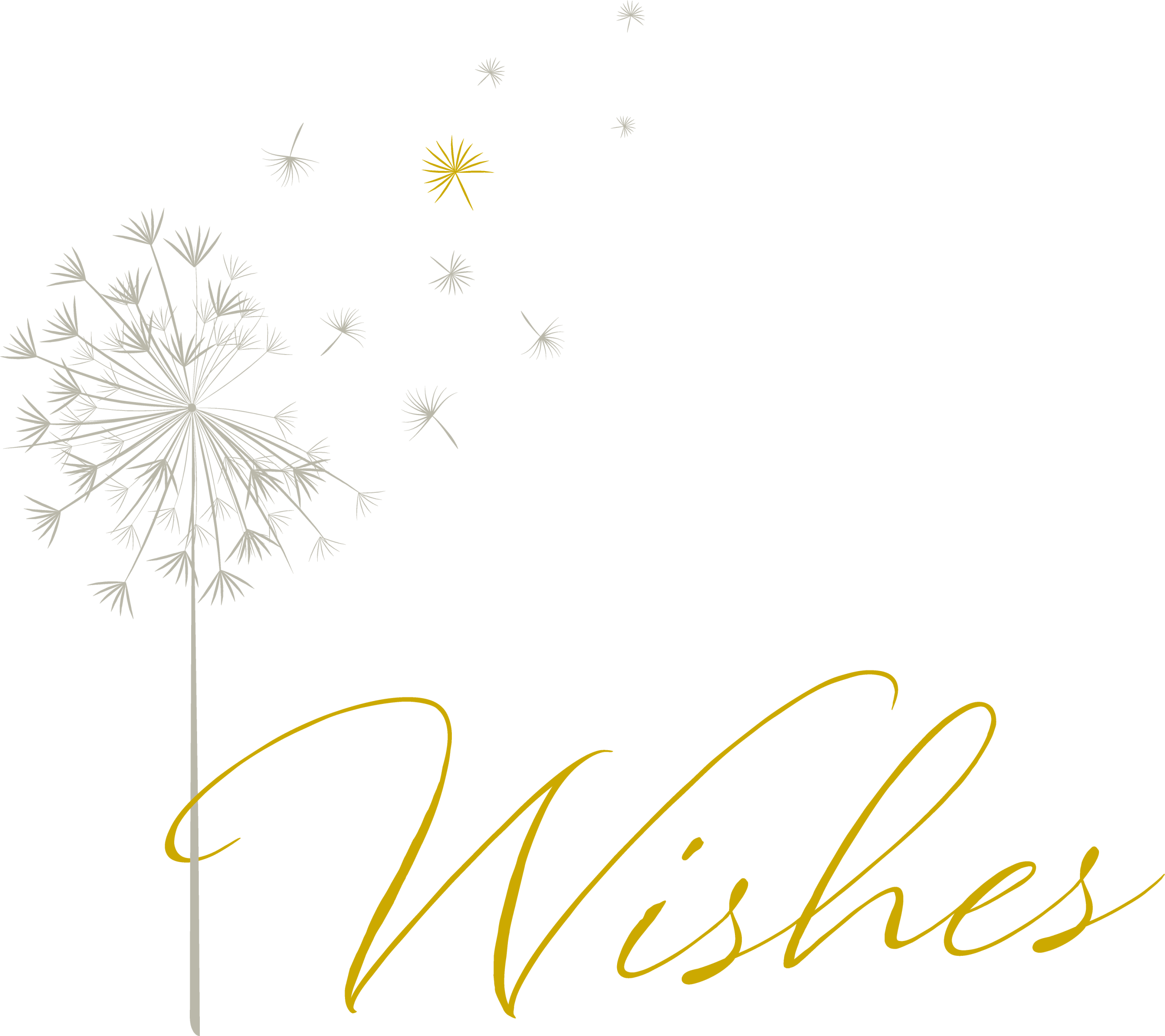 Wills & Wishes Legal Limited
